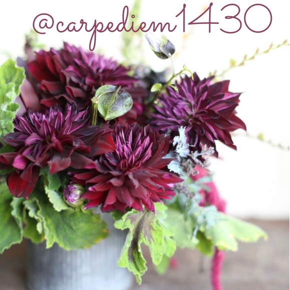 โจ CARPEDIEM1430 โจ - Picture 4 of 14